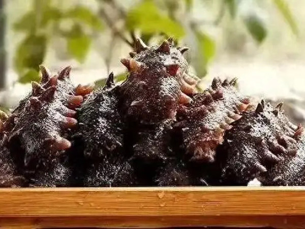 食用海參有哪些注意事項(xiàng)？